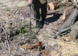 Военни обезвредиха невзривен боеприпас край Кюстендил
