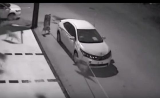 Глутница кучета потроши кола в Турция (видео)