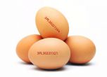 БАБХ изтегля от магазините яйца със съмнение за салмонела