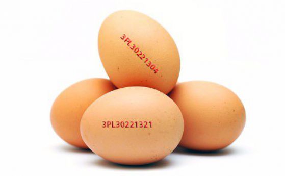 БАБХ изтегля от магазините яйца със съмнение за салмонела