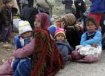 46 мигранти хванаха на турско-българската граница