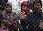81 от мигрантите в лагера в Харманли са с краста
