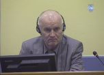 Прокуратурата в Хага поиска доживотен затвор за Ратко Младич