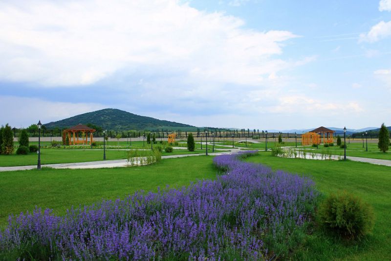 Цонко анонсира нов рокфест - Rock In The Wine Valley