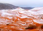 Сняг падна в пустинята Сахара (галерия)