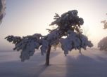 Над 770 населени места са без ток заради снега