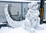 Когато в Япония завали сняг (галерия)