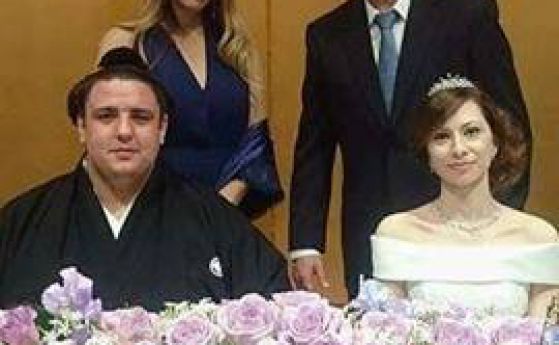 Синята планина се ожени за Виолета в Токио, Котоошу гост на сватбата