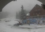 Снегът над София причини няколко катастрофи по пътя за "Алеко"