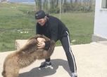 Руски ММА шампион тренира с мечка от дете (видео)