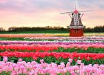 Забрана на пазаруването в неделя обещават кандидат-депутати в Холандия