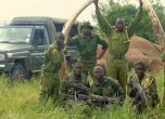 Бракониери убиха един от последните слонове с дълги бивни в Кения