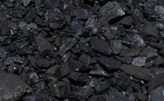 Евродепутатите ни се обединиха в защита на родното производство на въглища