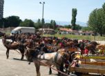 Роми във Враца: Ще се наложи да крадем, ако ни забранят каруците