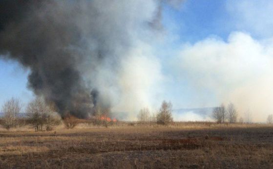 Пламнаха нивите край Елин Пелин