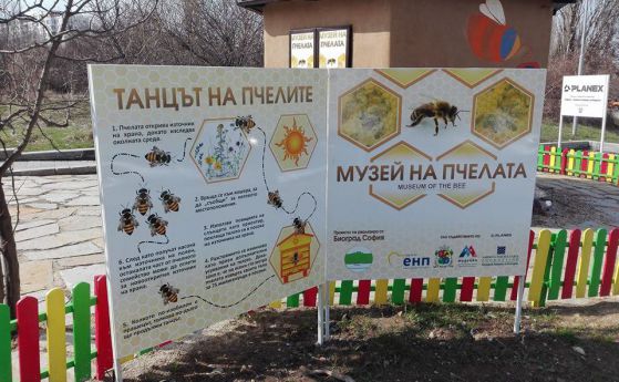 Музей на пчелата отваря врати в София