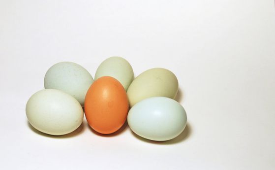 Как да боядисаме яйца с екопродукти