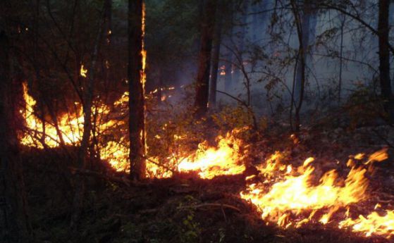 Пожар горя край Костинброд