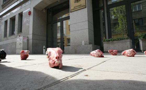Протестиращи хвърляха агнешки главички пред сградата на ВСС (снимки)