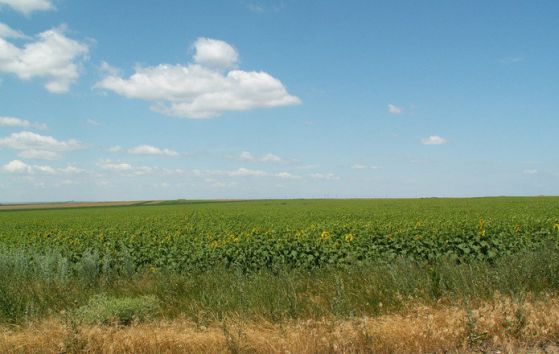 Времето днес: Слънчево, но на места с гръмотевични бури