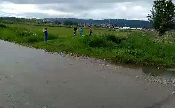 Боеве с кучета в Нови Искър: Местни си организират забава с бездомни животни (видео)