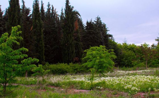 Екоактивисти обвиниха община Стара Загора в дезинформации за парк "Бедечка"