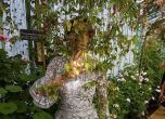 Радева се похвали с видени "страхотни красоти" в оранжериите на кралица Матилда