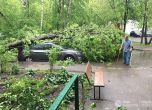 Броят на загиналите при урагана в Москва достигна 16 души