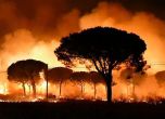 1500 евакуирани заради пожар в Южна Испания