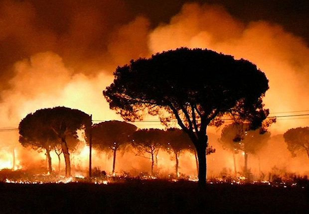Най-малко 1500 души са евакуирани заради пожар в Южна Испания,