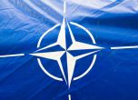 НАТО: Кибератаките могат да задействат член 5 от Вашингтонския договор