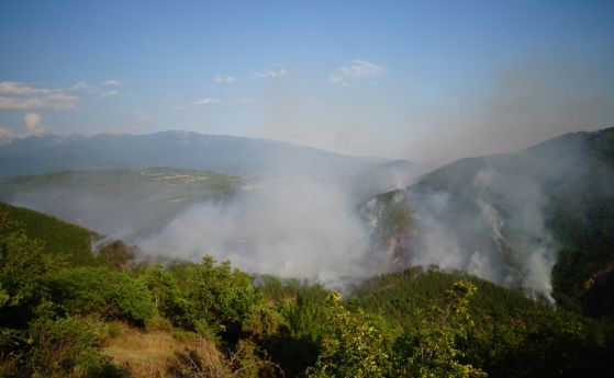 Голям горски пожар в землището на село Стара Кресна