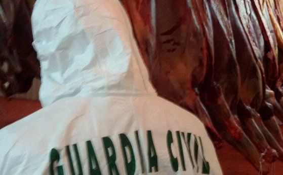 Интерпол разби група за измама с конско месо