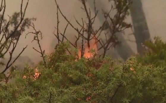 Пожар предизвика експлозии на 34 мини в Хърватия  Огънят се прехвърли