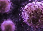 Експериментална терапия "хвана в капан" вируса на СПИН за 10 месеца