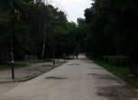 Седмица след статията в OFFNews: В Борисовата градина няма нито една кола