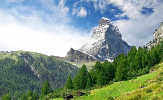 Неправителствени организации внесоха искане до президента Румен Радев да наложи