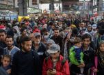 Рекорд: близо 19 милиона имигранти живеят в Германия