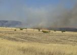 Пожарът край Бургас е овладян, гори борова гора