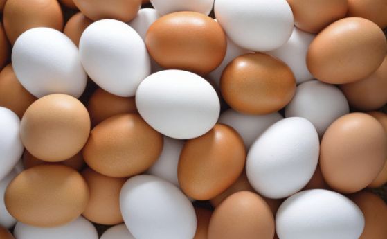 В 15 страни членки на Европейски съюз откриха яйца заразени с