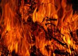 Над 50 пожара в Гърция, има висок риск да пламнат още