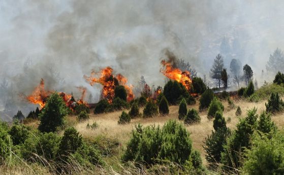 Разраства се пожарът в Кресненското дефиле. Евакуираха хора от село Ощава