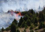Огънят в Кресненското дефиле пълзи към Национален парк Пирин