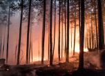 Огънят край Кресна продължава да гори, засега няма опасност за населението
