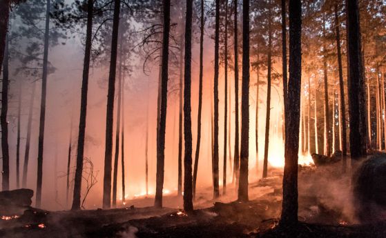 Огънят край Кресна продължава да гори, засега няма опасност за населението