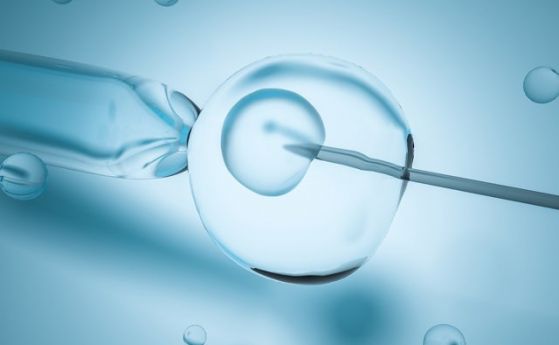 Жена иска да зачене с ембрион от починалия си съпруг - законът не й позволява