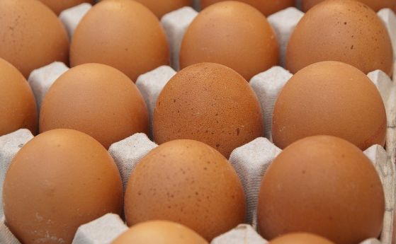 Още партиди яйчен прах с фипронил могат да влязат в България