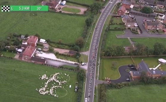 Пърформанс с овце взриви Обиколката на Великобритания (видео)