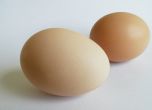 Яйца с опасния фипронил и на нашия пазар, внимавайте за тези серийни номера