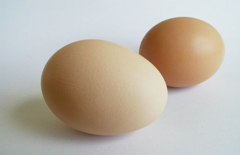 Проверки на Българската агенция за безопасност на храните установили яйца родно